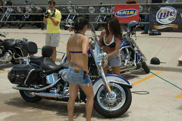 CowboyHarley037