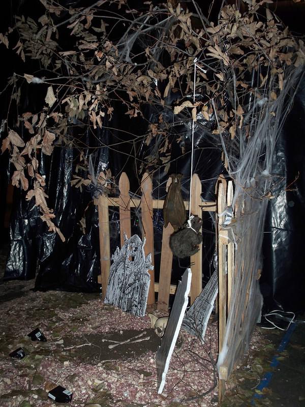 Halloween 097