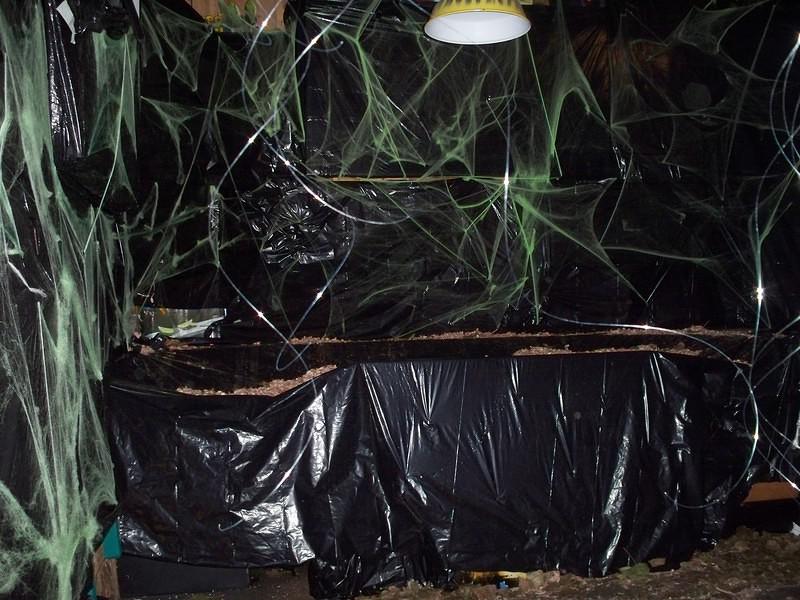 Halloween 099