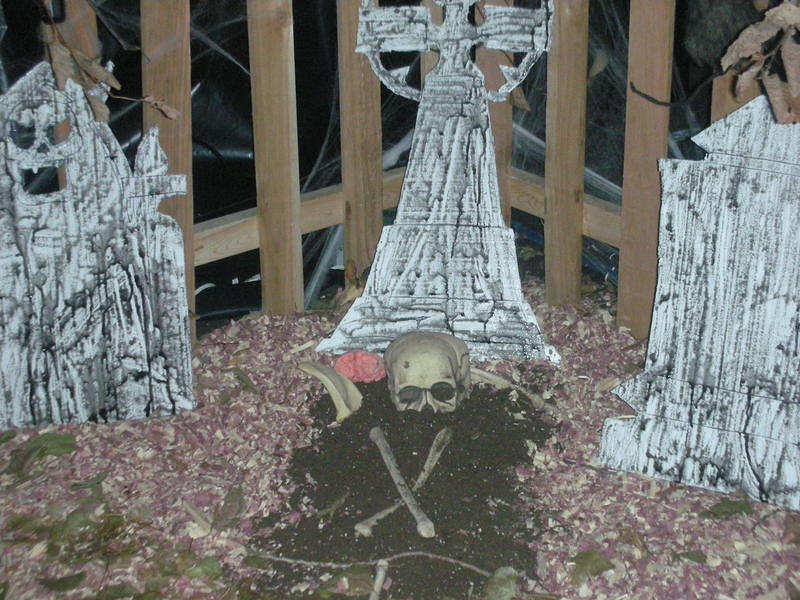 Halloween 141