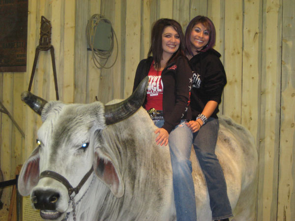 Stockshow02