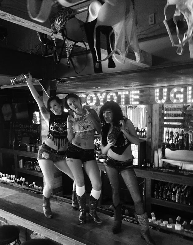Coyotes May 2016 11