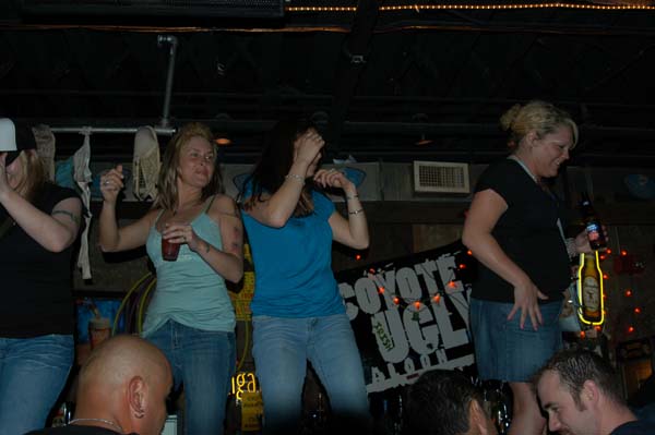 DSC 0093