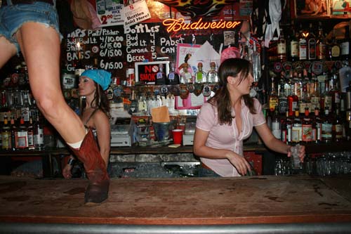 Coyote Partybar