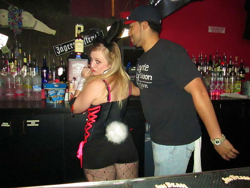 bunnies 17