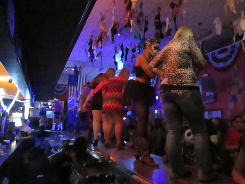 Coyote Halloween 2013 and more 101