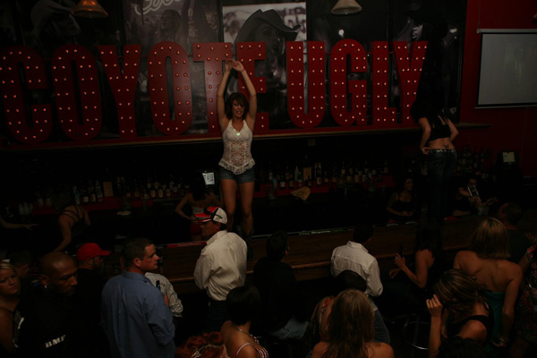Opening Night 071