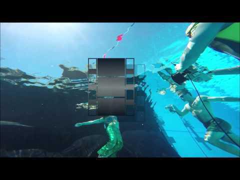Corporate Underwater Shoot