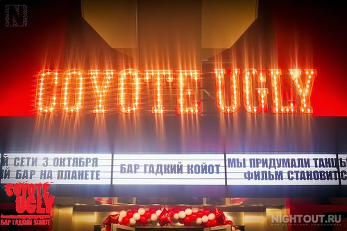 open-night 006