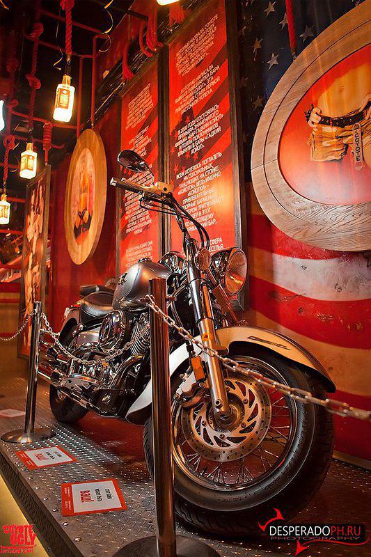 open-night 274