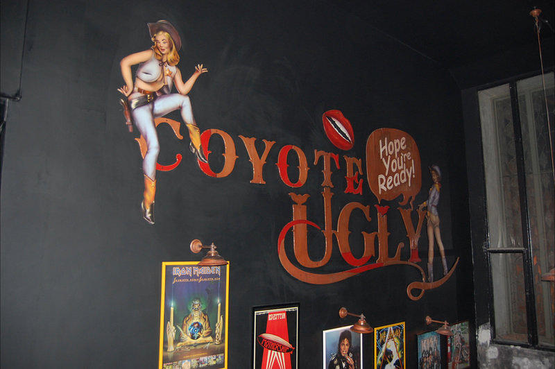 opening 08