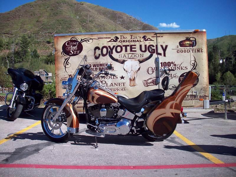 Sturgis 05