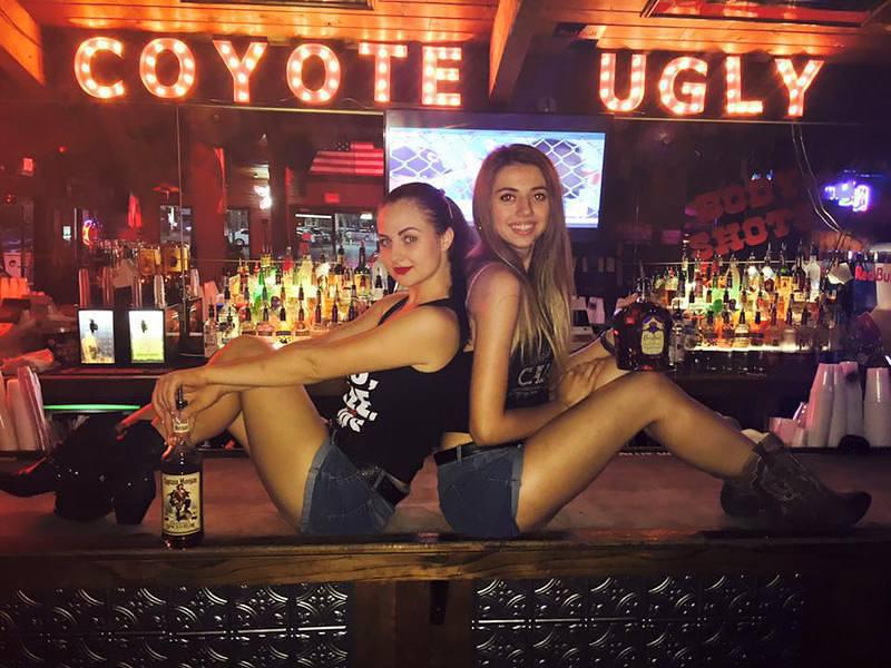 Wednesday Coyotes