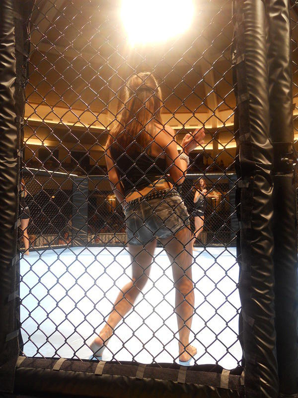 MMA 044
