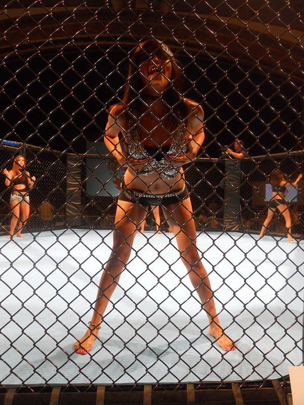 MMA 116