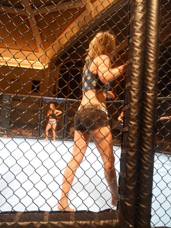 MMA 120