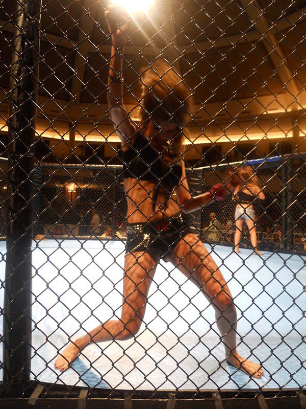 MMA 123