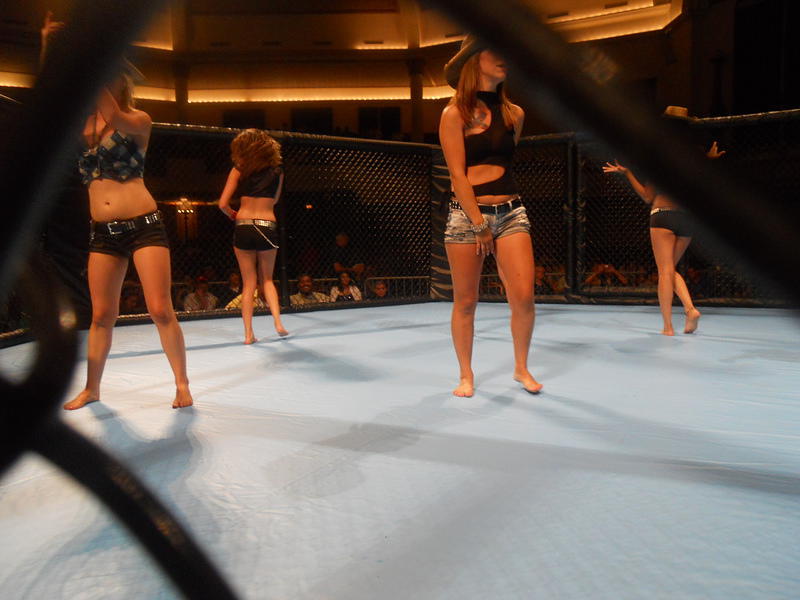 MMA 126