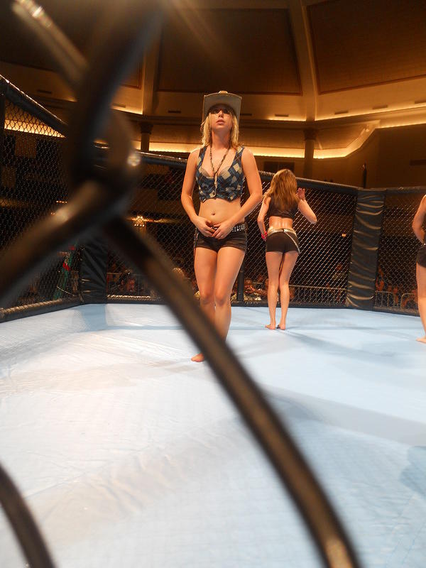 MMA 133