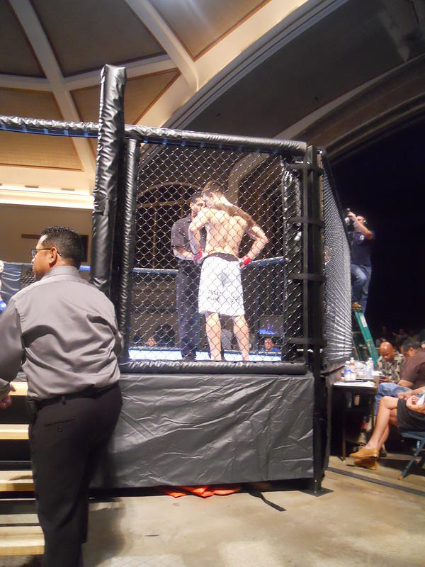 MMA 136