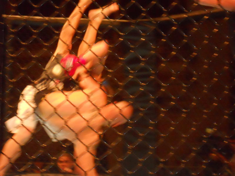 MMA 137