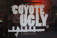 Coyote Ugly is coming to Cardiff!