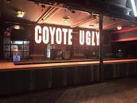 The Cardiff bar