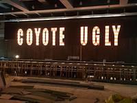 Coyote Ugly!