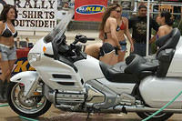 CowboyHarley003