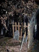 Halloween 097