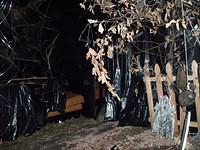Halloween 098