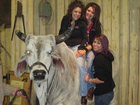 Stockshow01
