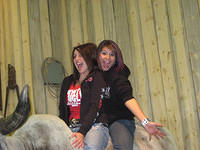 Stockshow03
