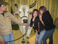Stockshow04