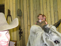 Stockshow05
