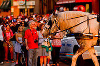 IMG 1536-1889068030-O