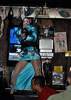 DSC 0197 001