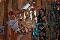 DSC 0294