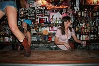 Coyote Partybar