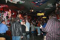 Coyote Partycrowd3