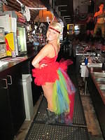 Christy the Parrot
