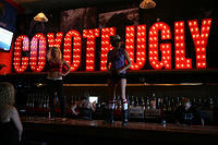 Opening Night 012