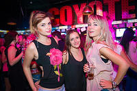 crazyWE 085