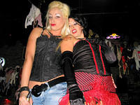 Cat and Shawna on the bar