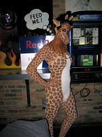 the giraffe 