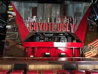 Welcome to Coyote Ugly Tokyo!