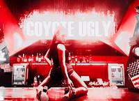 On the Tokyo Bar