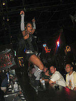 flying-monkey