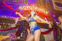 New Year's Eve 2017 199