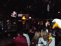 Gasparilla 33